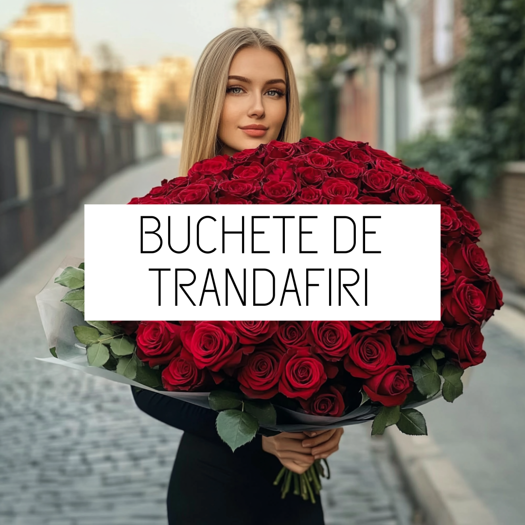 buchete_de_trandafiri_flori brasov