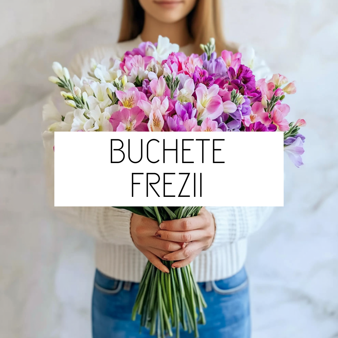 Buchete_Frezii_Flori_Brasov
