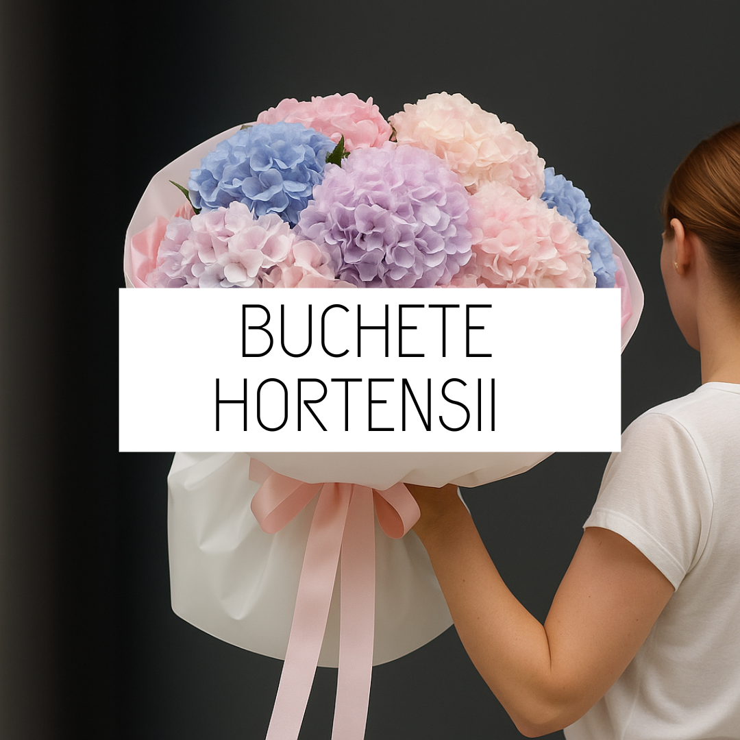 Buchete_Hortensii_Flori_Brasov