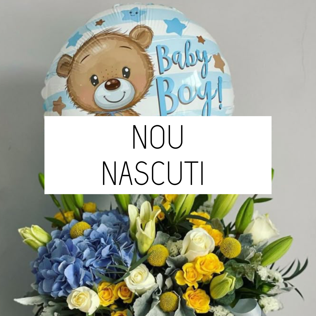 Aranjament Nou Nascuti 