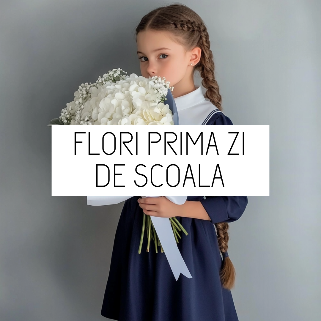 FLORI_PRIMA_ZI_DE_SCOALA_BRASOV